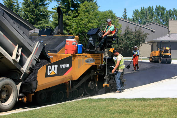 Best Driveway Pavers Near Me  in Nederland, CO